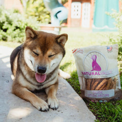 Loving Pets Natural Value All Natural Soft Chew Duck Sticks For Dogs