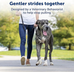 PetSafe Gentle Leader No-Pull Dog Headcollar - The Ultimate Solution to Pulling - Redirects Your Dog's Pulling for Easier Walks - Helps You Regain Control - Petite