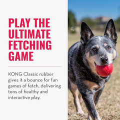 KONG Ball with Hole - Durable Dog Fetch Toy for Training, Interactive Playtime & More - Classic KONG Natural Rubber Ball - Red