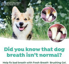 TropiClean Fresh Breath No Brush Total Care Kit | Dog Dental Hygiene|