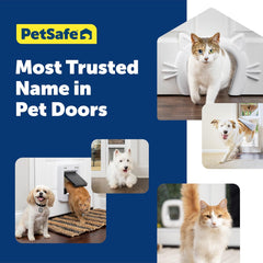 PetSafe Never Rust Indoor Cat Door - for Interior Doors - Adds Privacy, Keeps Dogs Out of Cat's Space, Food and Litter Box - for Cats Up to 20lb - Durable and Easy to Install - Made in USA