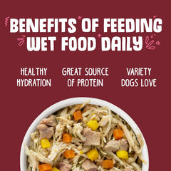 Weruva Classic Dog Food, Peking Ducken with Chicken Breast & Duck in Gravy