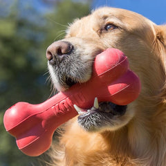 KONG Goodie Bone - Classic Durable Natural Rubber Dog Bone, Supports Mental Engagement - Treat Dispensing - Red