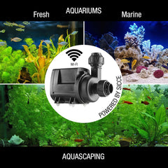 SICCE Syncra SDC 9.0 Water Pump 1000-2500 gph WIFI Apex Controllable Aquarium DC Return with Controller | Quiet, Submersible or External | Fish Tank, Sump, Pond, Freshwater and Saltwater Marine Use Visit the Sicce Store