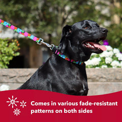 Coastal Pet Styles Adjustable Dog Collar - Stylish Patterned Fabrics - Snap-Lock Buckle - Adjustable Dog Collar - for Small, Medium or Large Dogs - Special Brown Paw