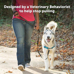 PetSafe Easy Walk Deluxe Dog Harness, No Pull Dog Harness – Perfect for Leash & Harness Training – Stops Pets from Pulling and Choking on Walks – Large