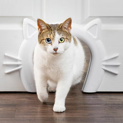 PetSafe Never Rust Indoor Cat Door - for Interior Doors - Adds Privacy, Keeps Dogs Out of Cat's Space, Food and Litter Box - for Cats Up to 20lb - Durable and Easy to Install - Made in USA