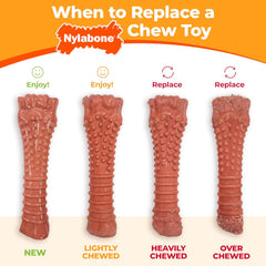 Nylabone Rib Bone Alternative Power Chew Toy for Dogs, Dog Toys for Aggressive Chewers, Beef Flavor
