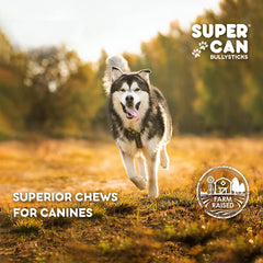 SUPERCAN BULLYSTICKS 6" Beef Bully Sticks for Small Medium Large Dogs (1pc) 100% Natural Dog Chews - Long Lasting Treats for Aggressive Chewers - Healthy Teeth