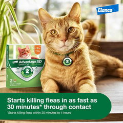 Advantage XD Cat Flea Prevention & Treatment For Cats | 4-Topical Doses, 8-Months of Protection Per Dose