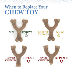 Nylabone Gourmet Style Wishbone Strong Chew Toy for Puppies, Peanut Butter Flavor