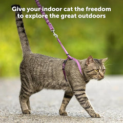 PetSafe Come with Me Kitty Harness and Bungee Leash, Medium