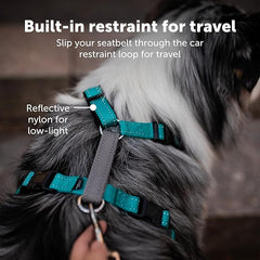 PetSafe 3 in 1 Dog Harness - No Pull Solution for Dogs - Reflective Dog Harness - Front D-Ring Clip Helps Stop Pulling - Comfortable Padded Straps - Top Handle Enhances Control