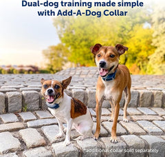 PetSafe 300 Yard Remote Training Collar – Smaller Version for Small or Medium Dogs – Choose from Tone, Vibration, or 15 Levels of Static Stimulation – Medium Range Option for Training Off Leash Dogs