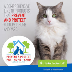 ADAMS Flea &amp; Tick Spray for Cats – 16 fl oz