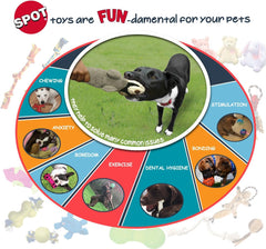 SPOT Sensory Ball for Soft Chewers - Stimulates All 5 Senses, Bell & Squeaker Sounds, Raised Nubs Clean Teeth, High Contrast Fetch Toy, Beef Scented, Durable TPR Rubber Ball, 3.25-inch