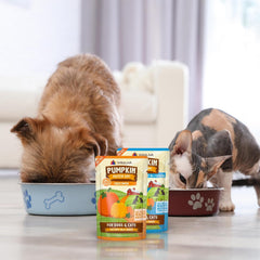 Weruva Pumpkin Patch Up! Pumpkin Pouches for Dogs & Cats 12 Pouches