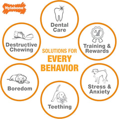 Nylabone Durable Dental Dinosaur Dog Chew
