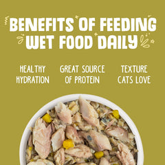 Weruva Classic Cat Food, Meow Luau with Mackerel & Pumpkin in Gravy