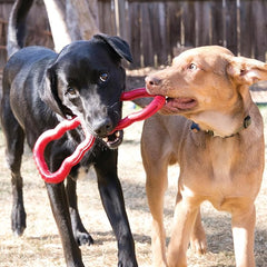 KONG Tug Toy - Dog Supplies for Tug of War - Natural Rubber Dog Toy for Outdoor & Indoor Playtime