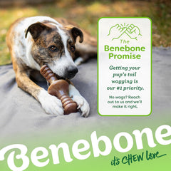 Benebone Zaggler Rolling Dog Chew Toy for Aggressive Chewers, Real Bacon, Made in USA