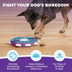 Nina Ottosson Dog Twister Treat Puzzle Enrichment Toy, Level 3 Advanced, Purple
