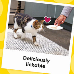 Temptations Creamy Puree Squeezable Lickable Wet Cat Treats with Chicken