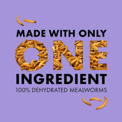 Zilla Reptile Munchies, Mealworms, All-Natural, Dehydrated Mealworms, Ideal for Bearded Dragons, Leopard Geckos, Chameleons and other lizards, Resealable Bag