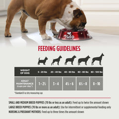 Nulo Freeze-Dried Raw Turkey Recipe with Cranberries Complete and Balanced Dry Dog Food Kibble