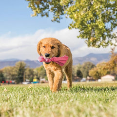 Kong Wubba Assorted Colors Puppy