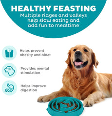 Outward Hound Fun Feeder Slo Bowl, Slow Feeder Dog Bowl, Large/Regular, Turquoise
