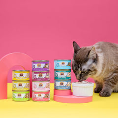 Weruva Classic Cat Food, Green Eggs & Chicken with Chicken Breast & Egg in Pea Soup (Pack of 24)