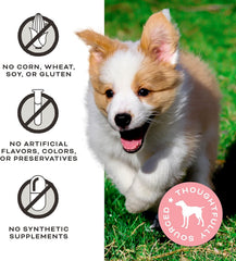 Primal Beef Jerky Dog Treats Made with Beef Bone Broth, Give Pieces a Chance, Training Treat for Dogs, 4 oz