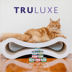Weruva Truluxe Cat Food, On The Cat Wok with Chicken Breast & Beef in Pumpkin Soup 3-oz Can(Pack of 24)