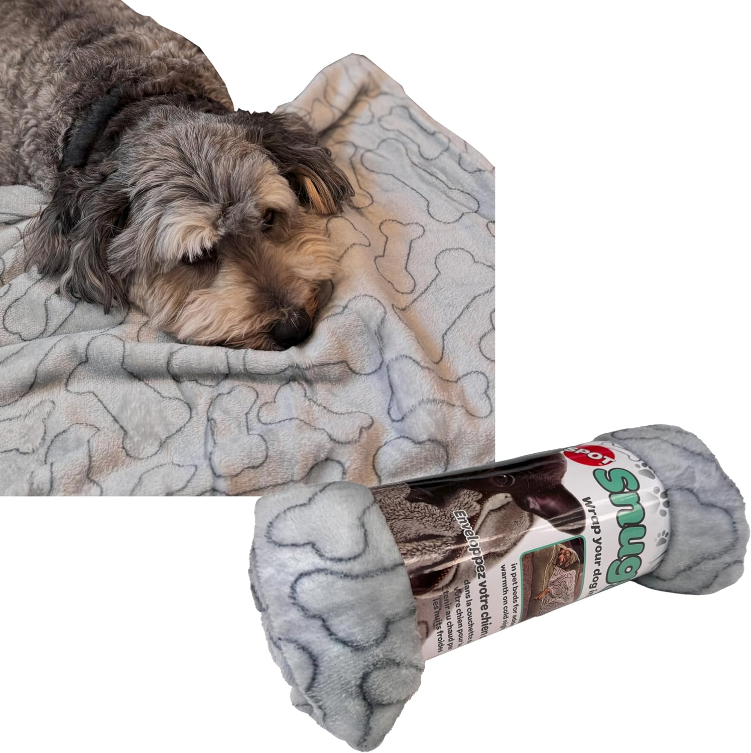 Big Dog Pet Supply