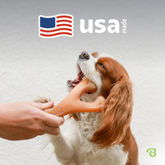 Benebone Wishbone Durable Dog Chew Toy for Aggressive Chewers, Made in USA, Real Bacon Flavor