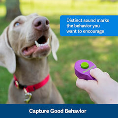 PetSafe Clik-R Dog Training Clicker - Positive Behavior Reinforcer for Pets - All Ages, Puppy and Adult Dogs - Use to Reward and Train - Training Guide Included