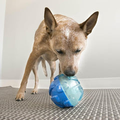 KONG - Rewards Ball - Ultra Durable Interactive Treat Dispensing Dog Toy