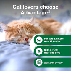 Advantage Cat Flea & Tick Shampoo for Kittens & Adult Cats | Kills Fleas & Ticks | 8 oz.