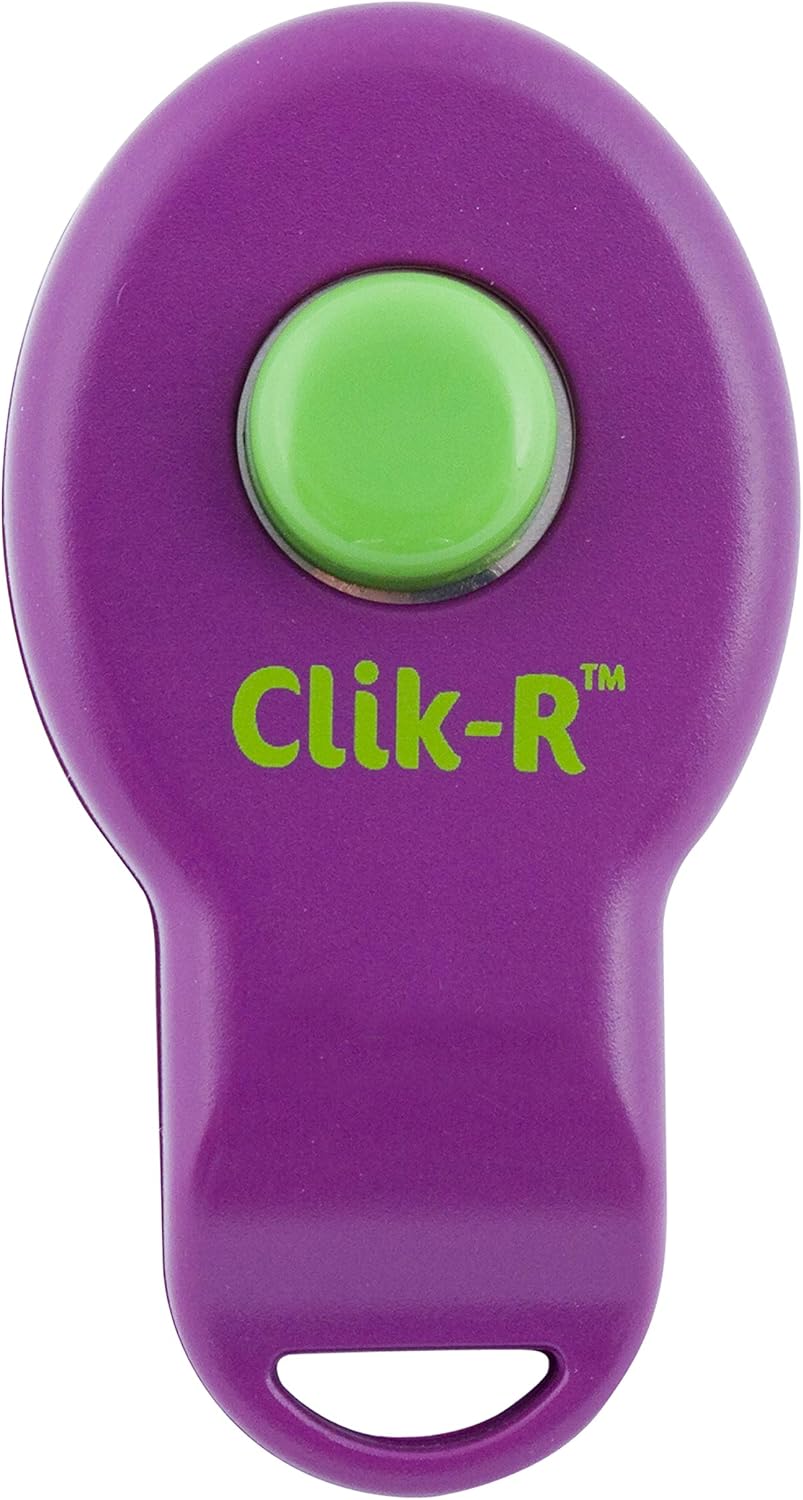 PetSafe Clik-R Dog Training Clicker - Positive Behavior Reinforcer for Pets - All Ages, Puppy and Adult Dogs - Use to Reward and Train - Training Guide Included