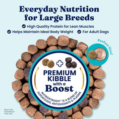Solid Gold Bison Dry Dog Food for Large Dogs – High Protein, Whole Grain Kibble with Real Bison, Brown Rice & Omega 3 – Large Kibble w/Probiotics for Gut Health - Adult Dog Food - Nutrientboost™ 22-lb