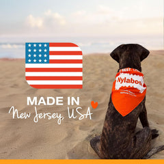 Nylabone Healthy Edibles Natural Dog Chews Long Lasting Bacon Flavor Treats for Dogs