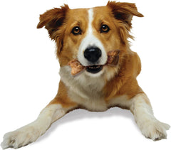 Nylabone Healthy Edibles WILD Natural Long-Lasting Bison Flavor Bone Chew Treats for Dogs (2 Count)