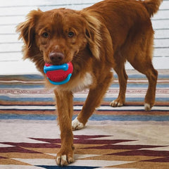 KONG Jaxx Brights Tug w/Ball