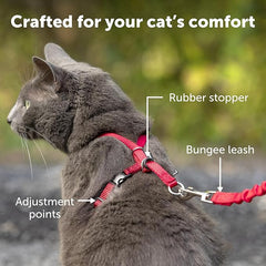 PetSafe Come with Me Kitty Harness and Bungee Leash, Medium