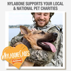 Nylabone Power Chew Classic Bone Chew Toy for Dogs, Durable Dog Toys for Aggressive Chewers, Bacon Flavor
