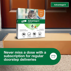 Elanco Advantage Cat Vet-Recommended Flea Treatment & Prevention | 6-Month Supply