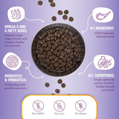Health Extension Lamb & Brown Rice Dry Dog Food - Nutritious Free-Range Lamb Formula with Probiotics, Antioxidants & Omega 3 for Dogs with Sensitive Digestion