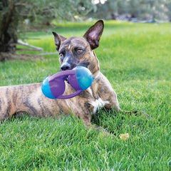 KONG Jumbler Disc Dog Toy