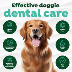TropiClean Oral Care Brushing Gel for Dogs & Cats| Dog Toothpaste | Pet Dental Gel | Dog Teeth Cleaning Use with Pet Toothbrush |